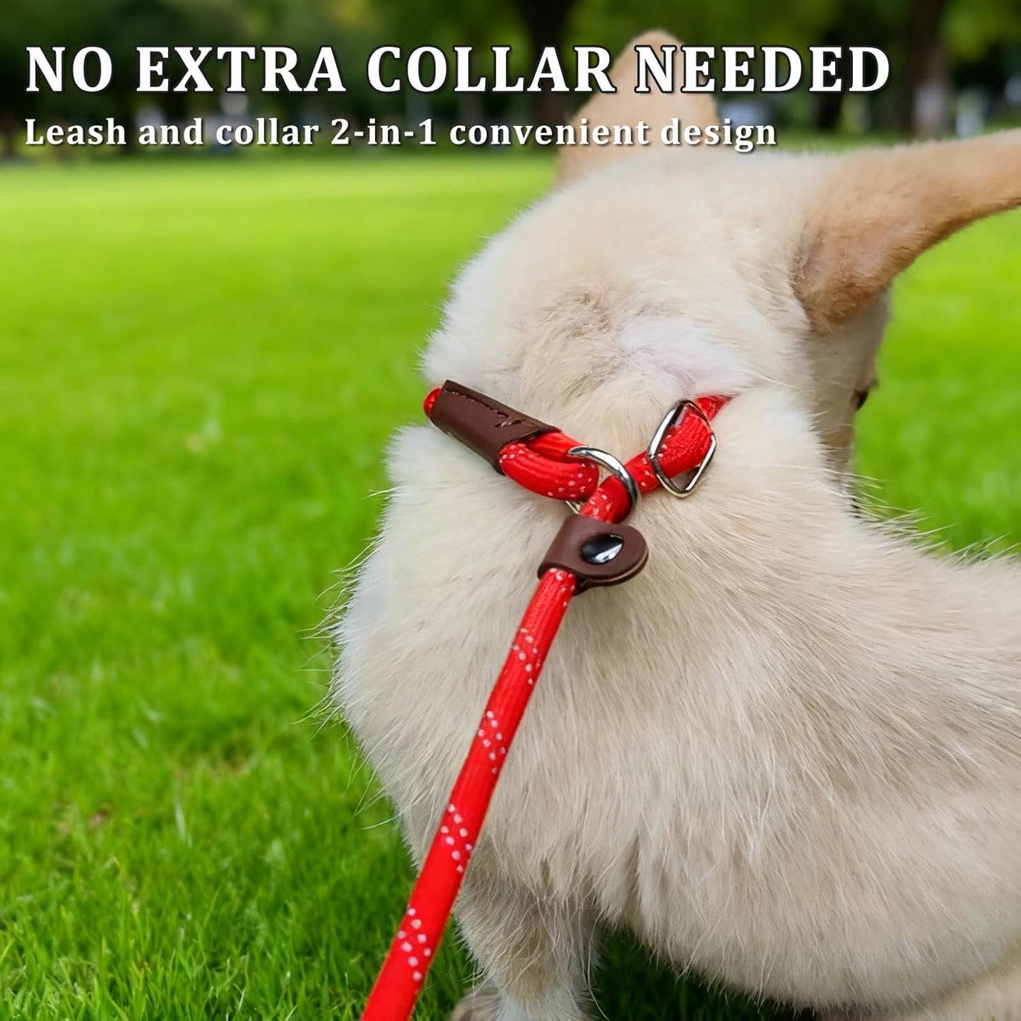 WYuZe 8 FT Slip Lead Leash for Dogs Training Leash (Black+Blue+Red)