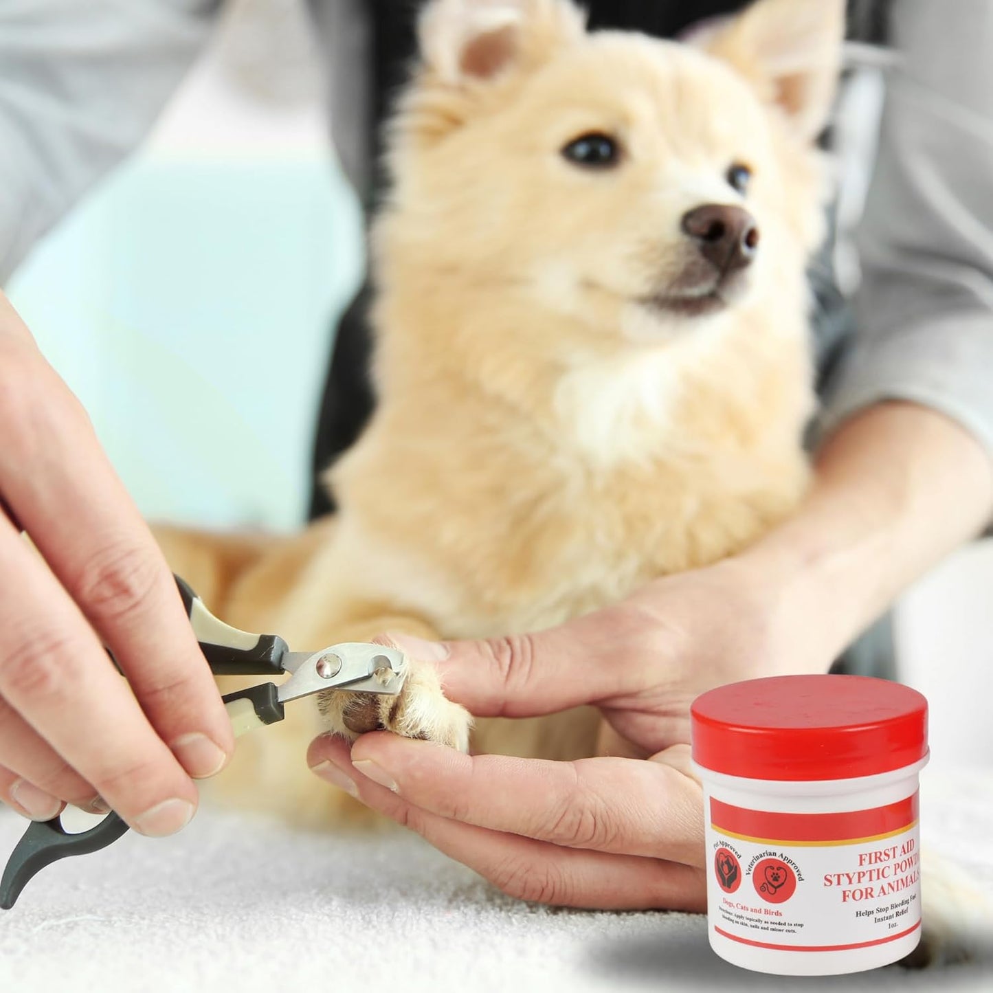 G.B.S Styptic Powder for Animals – Fast-Acting Blood Stop for Dogs, Cats, Birds & Small Pets – First Aid Powder for Nail Bleeding, Minor Cuts & Grooming – 1 oz, Pack of 1