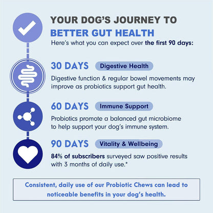 Probiotic Chews for Dogs - Chicken Flavor, 100 Soft Chews, with 6 Billion CFU Probiotics, Enzymes, Organic Pumpkin & Inulin - Digestive & Immune Support for Dogs