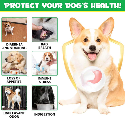 Probiotics Supplement for Dogs - Digestive Enzymes with Prebiotics for Gut Health - Anti Diarrhea, Bowel Support, and Immunity - Health & Itch Relief Digestive Enzymes