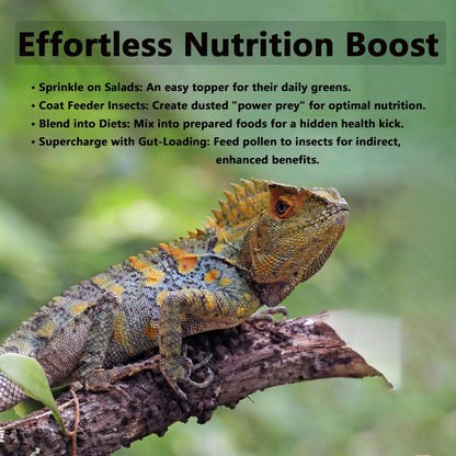 Pleasantly War Bee Pollen for Bearded Dragons and Amphibians, Natural Granules, Premium Grade, Digestive and Immune Support,8oz