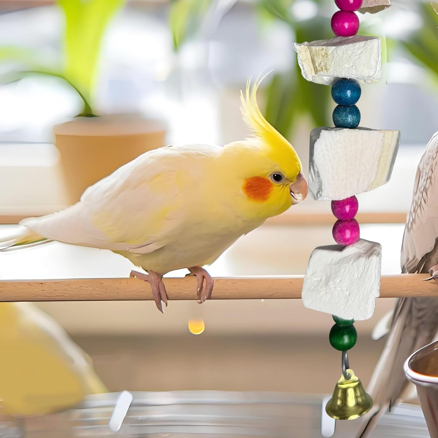 Hamiledyi 2 Pack Bird Toys with Five Cuttlebone - Natural Calcium Chew Toy for Beak Grinding, Hanging Wooden Cage Accessories for Parakeets, Budgies, Cockatiels, Lovebirds(Style C)