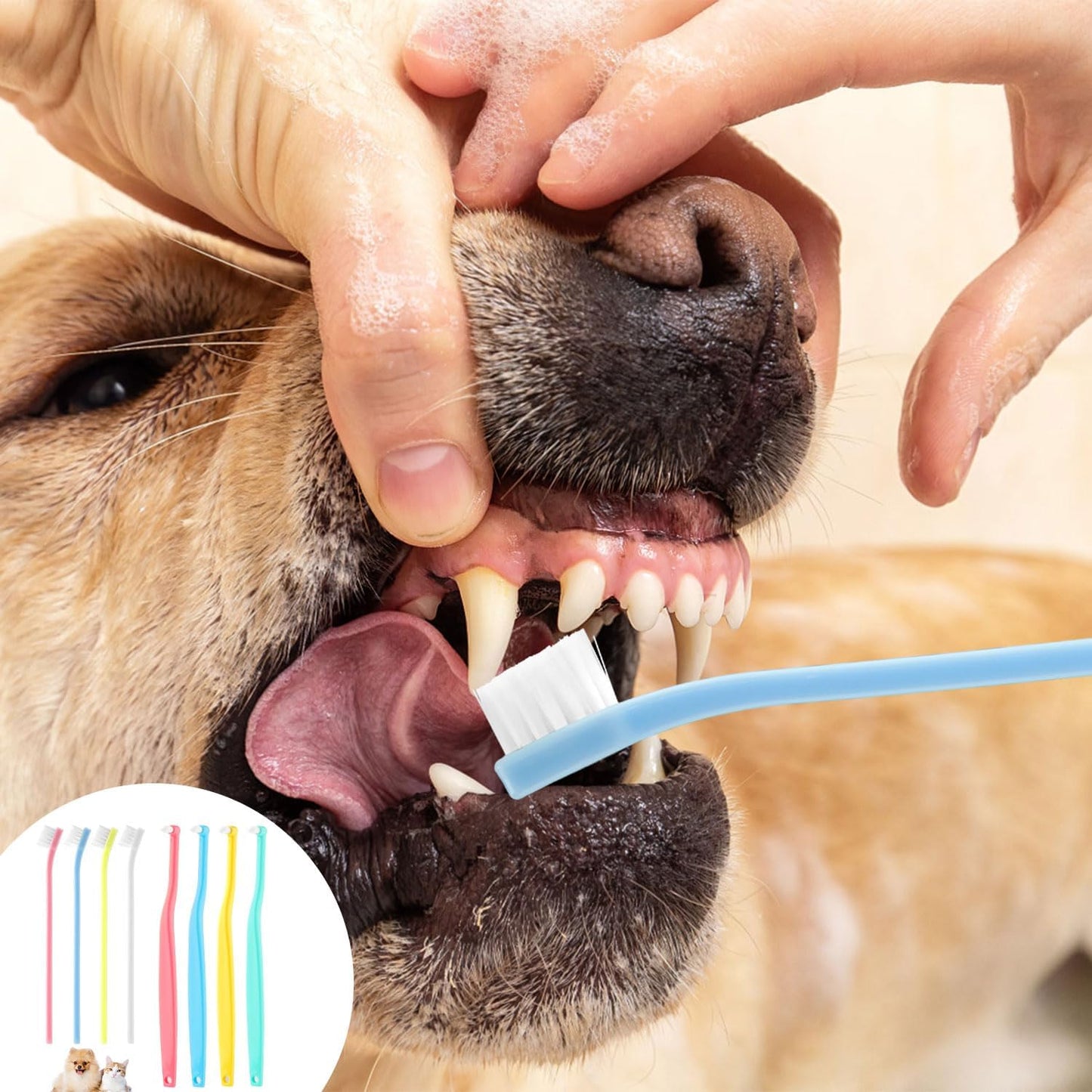 8pcs Small Dog & Cat Toothbrush, 2 Styles Soft Bristle Kitten Teeth Cleaning Brush Micro Head Pets Toothbrush Dental Care Supplies Accessories for Puppy Kitty Reduce Tartar Formation & Bad Breath