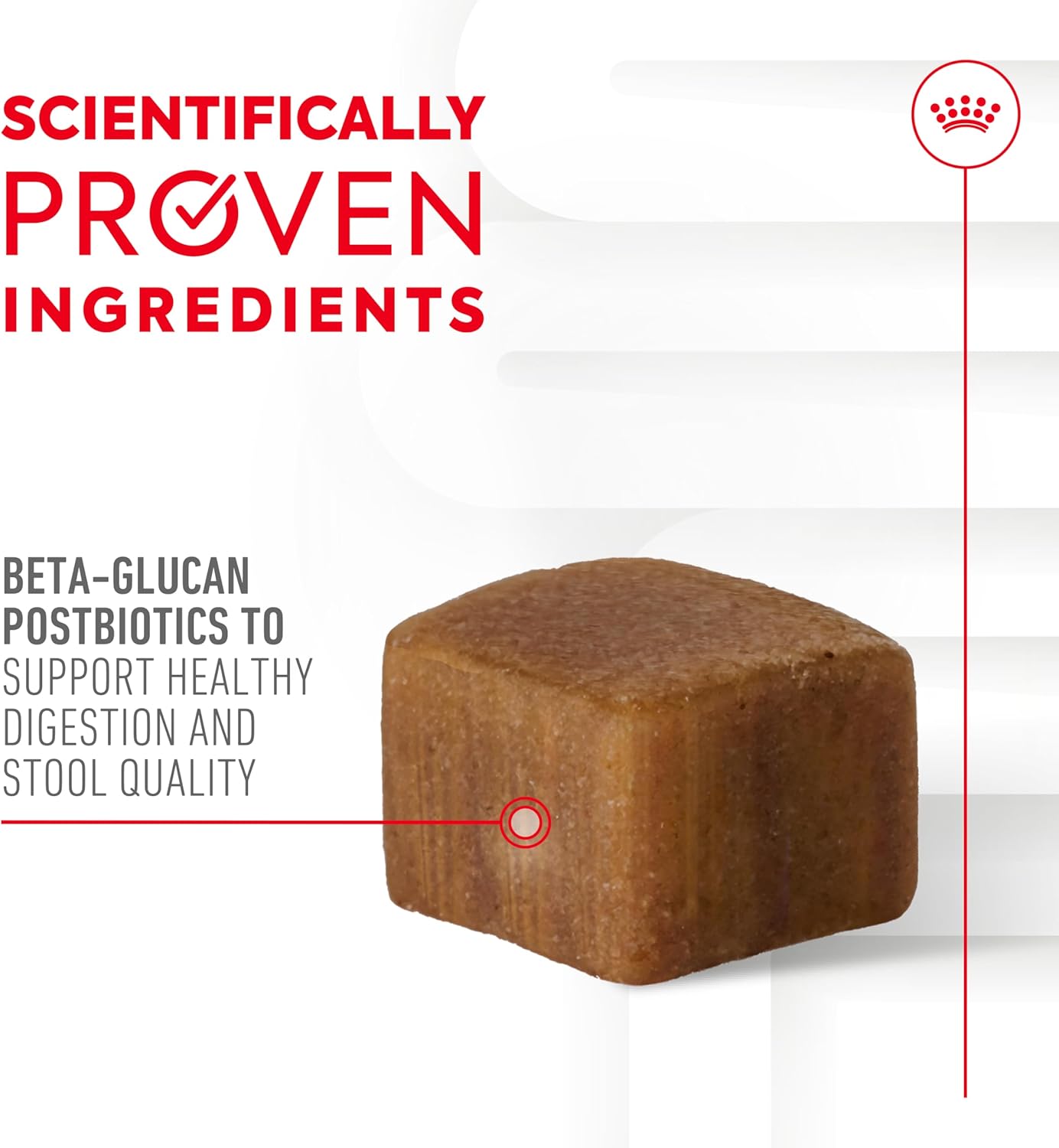 Royal Canin Digestive Dog Supplement Soft Chews for Adult Dogs, 60 Count