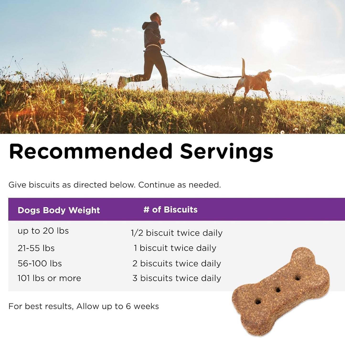 Nutri-Vet Immune & Digestive Health Biscuits for Dogs, Immune Health Biscuits, Prebiotic & Postbiotic Dog Treat, Functional Treat, 16 oz