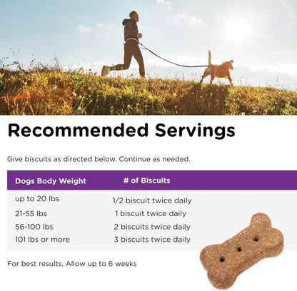 Nutri-Vet Immune & Digestive Health Biscuits for Dogs, Immune Health Biscuits, Prebiotic & Postbiotic Dog Treat, Functional Treat, 16 oz