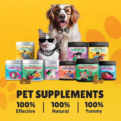 Dog Multivitamin Soft Chews – 120 Count | with Omega 3, Glucosamine, MSM, Chondroitin, CoQ10, Vitamins B & C | for Joint, Heart, Skin & Immune Support | Salmon Flavor | Non-GMO & Natural