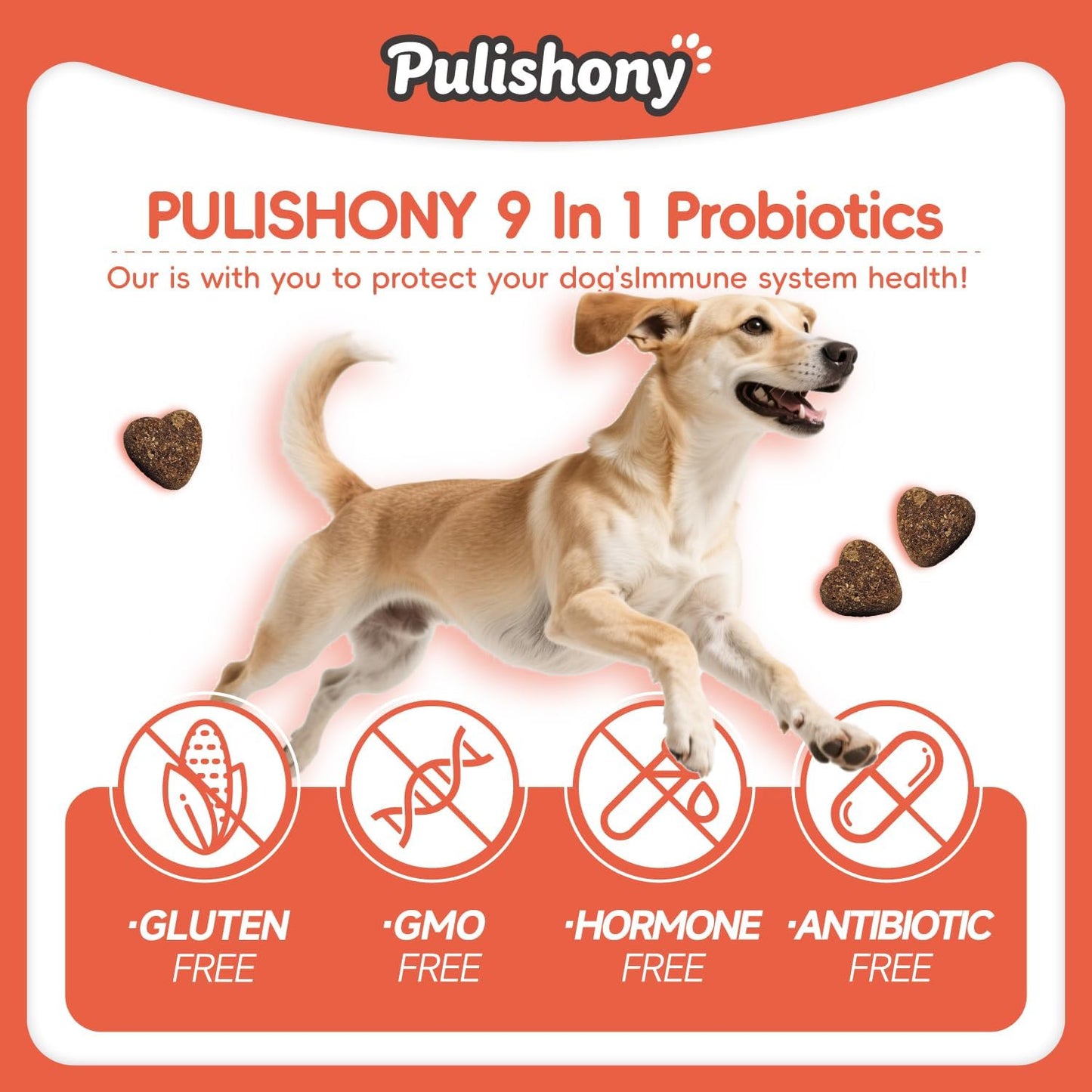 Probiotics for Dogs -Digestive Enzymes for Gut Flora, Digestive Health, Diarrhea & Bowel Support -9 in 1 Probictics- Dog Supplement Soft Chew for Pet Immune System - Chicken-（90Count）