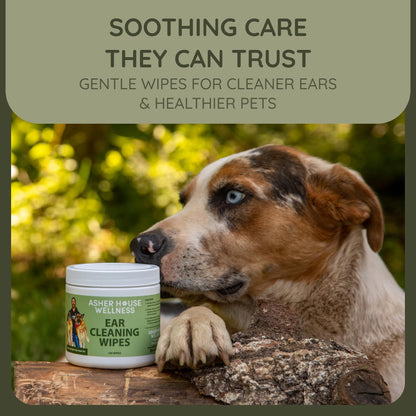 ASHER HOUSE WELLNESS Pet Ear Cleaning Wipes - Dog & Cat Plant-Based Ears Cleaner, Remove Wax & Dirt, Relieve Itch, Prevent Odor & Infection - Gentle for Pets Dogs Cats Over 12 Weeks, Made in USA