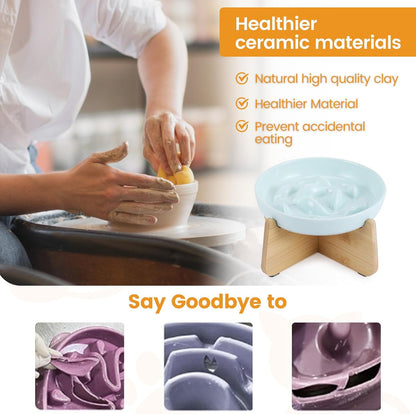 PETTOM Slow Feeder Cat Bowl with Stand, Ceramic Slow Eating Cat Bowl with Higher Edges Fish Pool Design Elevated Food Bowls for Dry and Wet Food Anti-Vomiting Puzzle Feeder for Healthy Eating Diet