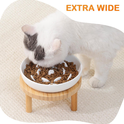 Raised Slow Feeder Cat Bowl, 5.9 Inch Wide Shallow Ceramic Elevated Glass Food Bowl Puzzle Feeders, Anti Vomit Cat Dish, Whisker Friendly Pet Plates Feeding Station for Cats(2 Slow Feeder)