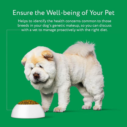 DNA MY DOG – Trusted & Affordable Breed Identification Test | 350+ Breeds Identified w/ 99%+ Accuracy | Complete Breed Analysis, Personality and Behavior Insights | Easy Cheek Swab, Results in 2 Weeks