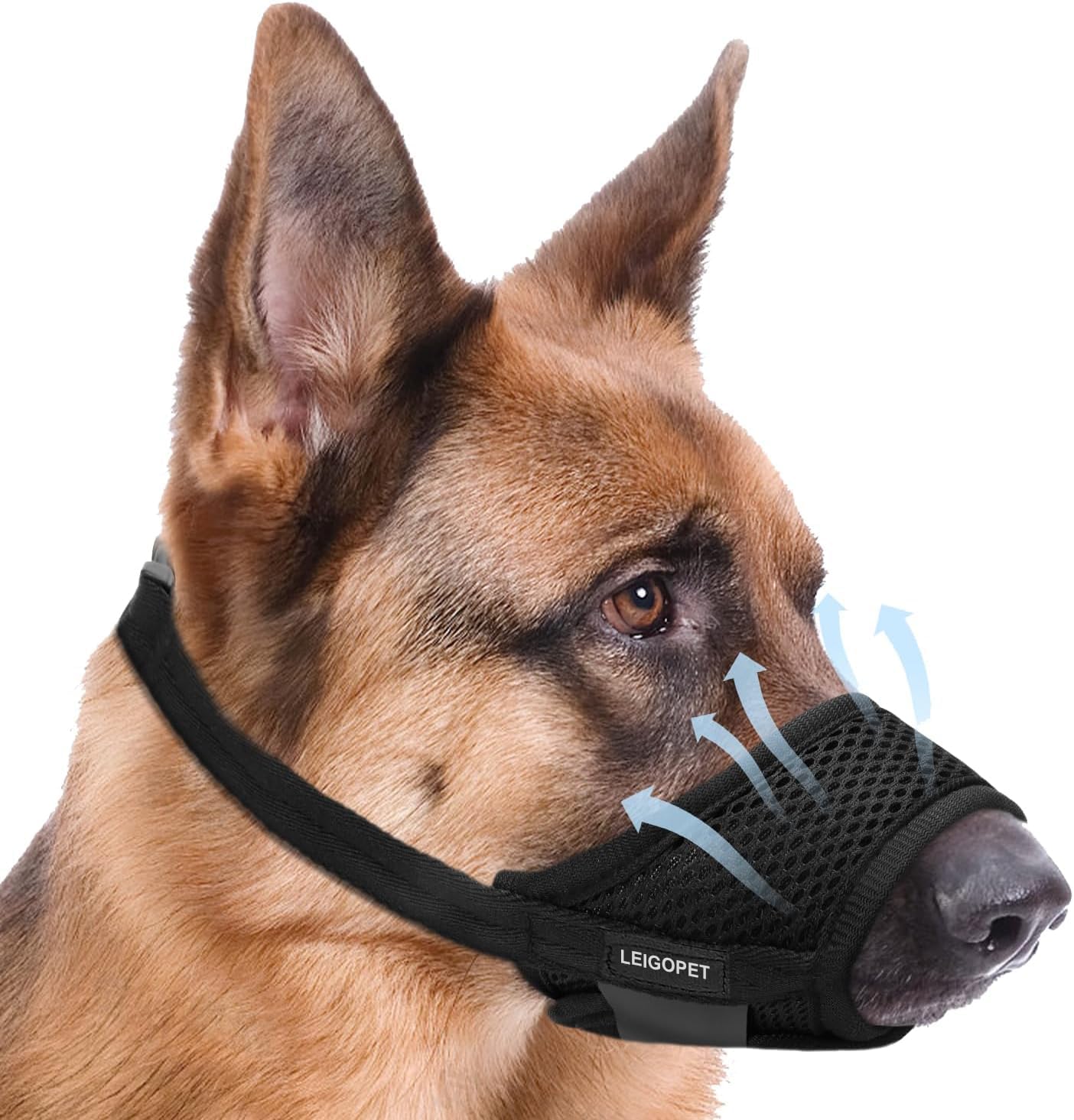 Dog Muzzle, Black-L-2-20251207