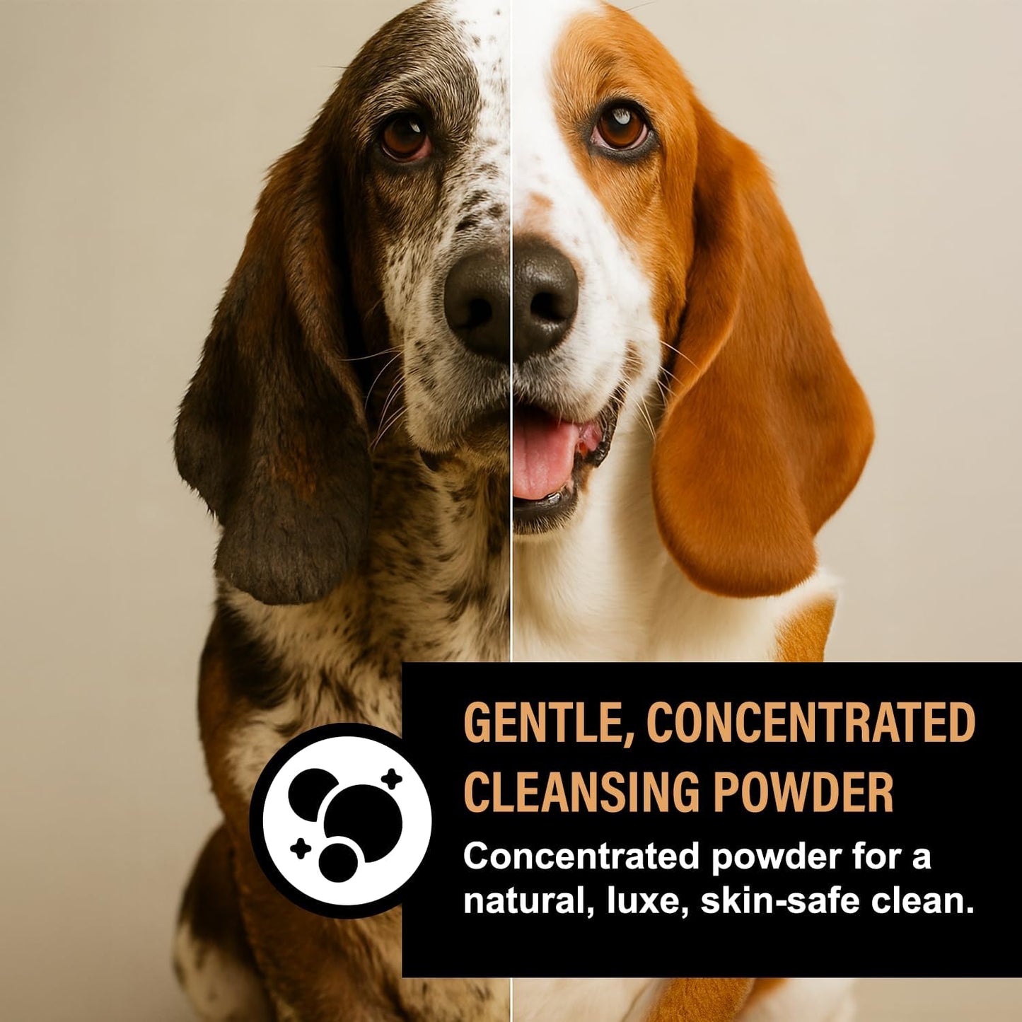 Dog Shampoo Alternative – Oatmeal & Honey Puppy Bubble Bath with Autumn Scent – Natural Gentle Dog Wash – Halloween Dog Gift - 12 Baths (Cranberry Spice)