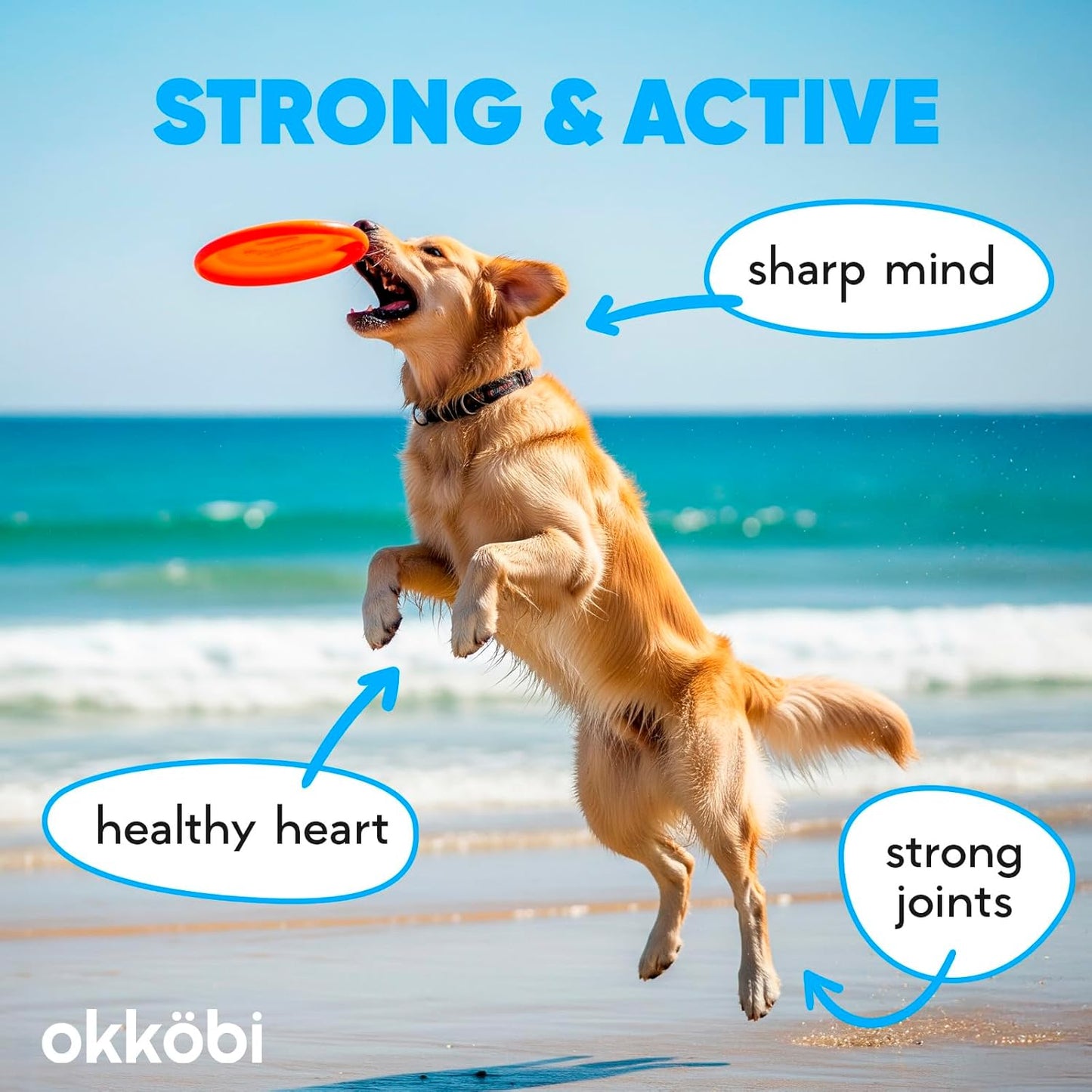 Wild Alaskan Salmon Oil for Dogs & Cats - Pure Fish Oil for Dogs with Omega 3, EPA & DHA Supplements for Skin & Coat, Heart & Immune System, Joint and Brain Support - 8.5 oz