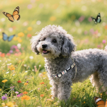 PUPTECK No Pull Dog Harness Soft Adjustable Basic Nylon Step in Puppy Vest Outdoor Walking with ID Tag, Plaid Beige, XS