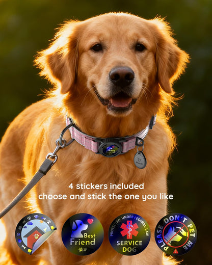 Airtag Dog Collar, IPX8 Waterproof Air Tag Dog Collars Holder | Reflective Ultra-Durable | Soft Padded | Lock Buckle | Heavy Duty | Fit Large Dogs(Pink,L(15"～24"))
