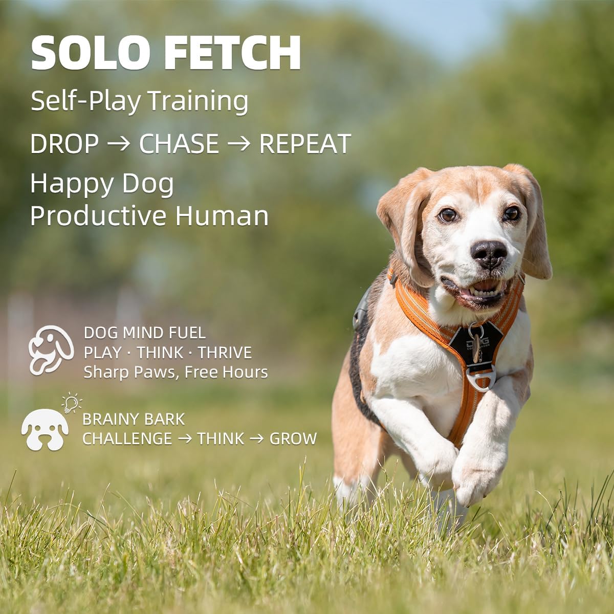 AutoDog Ball Launcher - Large Silent Dog Ball Thrower with Remote Control, 3 Adjustable Distances (40t/60ft/80ft), Rechargable,Includes 6 Durable 2.5" Balls for Medium/Large Dogs (Blue -, Large)