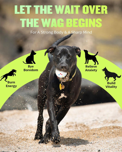 Automatic Ball Thrower for Dogs, Ball Launcher for Dogs - 2.5" Dog Balls * 6Pack (Green)