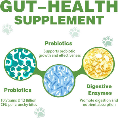 Probiotics for Dogs - 180 Dog Probiotics Chews with 5 Enzymes & 4 Prebiotics for Digestive and Gut Health - Diarrhea & Bowel Support, Yeast Balance, Immunity, Allergies & Itchy Skin (Chicken)