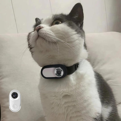 1080P Pet Camera Collar, HD Wearable Action Cam for Cats & Small Dogs - Wireless Mini Body Camera with Wide Angle, Adjustable Mount for Collar, Helmet, Bike (No WiFi Needed)
