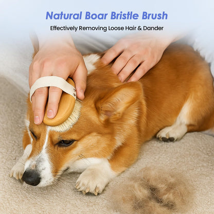 Waterless No Rinse Dog Dry Shampoo Spray for Smelly Dogs, Hypoallergenic & pH-Balanced, Deodorizing, Sensitive Skin Care, Safe for Puppies & Cats, Clean, Condition & Freshen