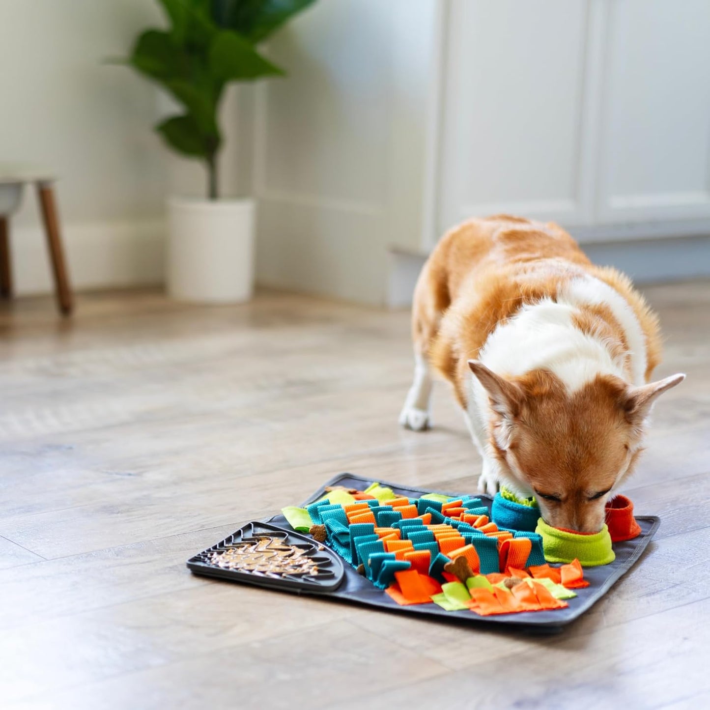 Messy Mutts Square 16" x 16" Forage and Lick Mat with Non-Slip Suction Cups | Stimulating Sniffing Interactive Puzzle for Dogs | Silicone Triangle Licking