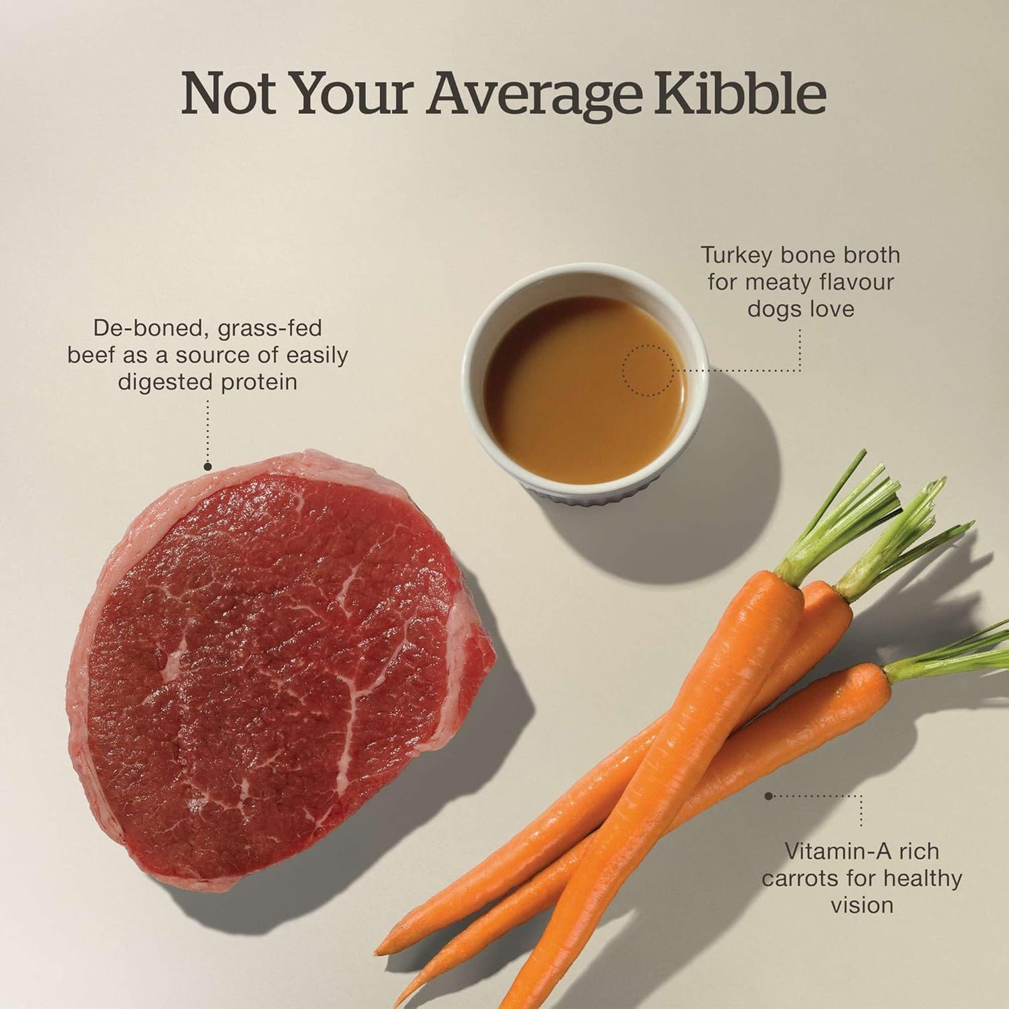 Now Fresh Good Gravy Premium Dry Dog Food with Grass-Fed Beef & Ancient Grains, Healthy Kibble for Adults Coated in Bone Broth – Just Add Water to Moisten, Made with Real Red Meat, 3.5 lb Bag