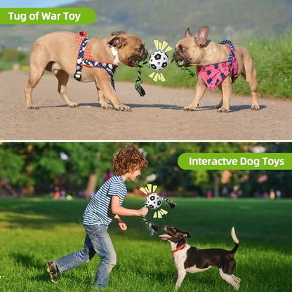 QDAN Dog Rope Toys for Small Medium Puppy, Soccer Ball for Dogs, Outdoor Dog Toys (Black)