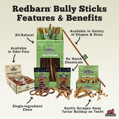 Redbarn Pet Products All Natural 8"-12" Braided Bully Sticks for Medium & Large Dogs - Healthy Long Lasting Beef Chews Variety Party Pack - Single Ingredient Low Odor Rawhide Free - 1 lb Bag