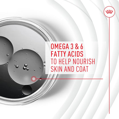 Royal Canin Skin & Coat Dog Supplement Soft Chews for Adult Dogs, 60 Count (Pack of 4)