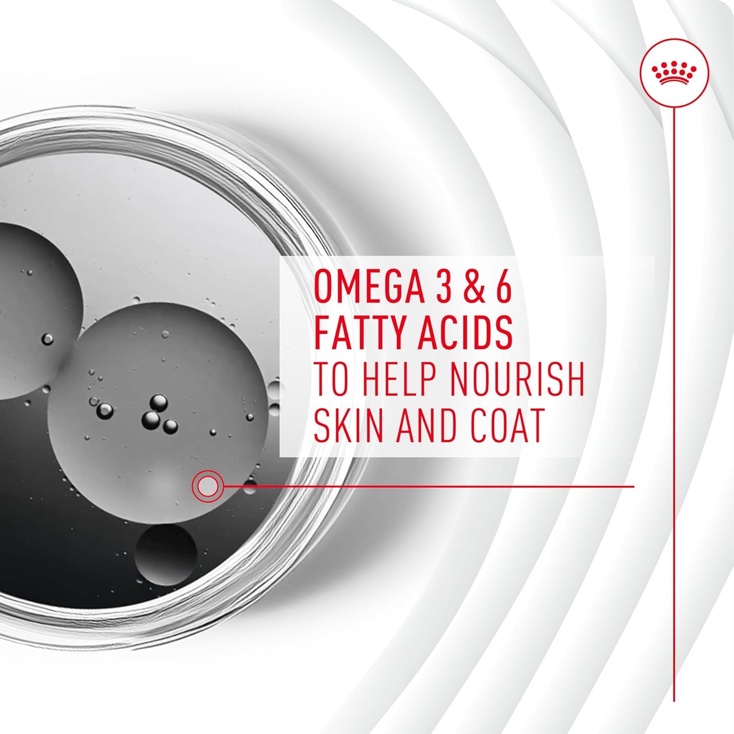 Royal Canin Skin & Coat Dog Supplement Soft Chews for Adult Dogs, 60 Count (Pack of 4)