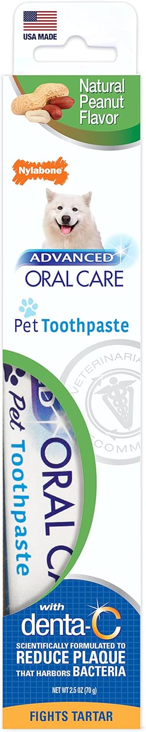 Nylabone Advanced Oral Care Natural Toothpaste Peanut Butter 2.5 oz. (1 Count)