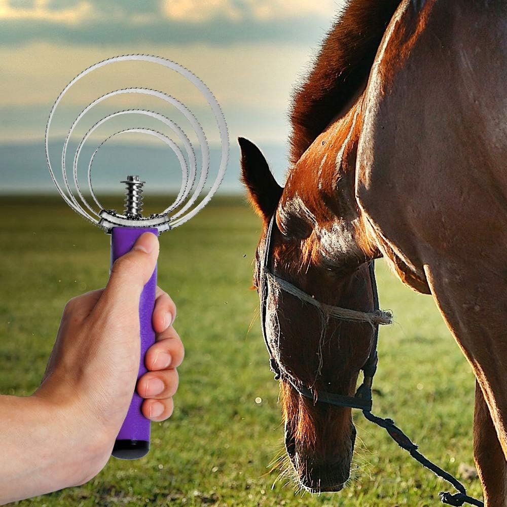 Reversible Stainless Steel Curry Comb with Soft Touch Grip (Purple)