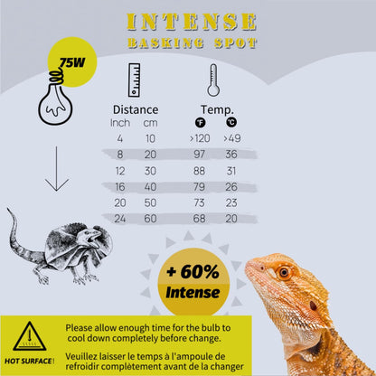 Reptile Heat Lamp, 2 Pack 75W Intense Basking Bulbs Light for Reptiles, UVA Daylight Basking Light for Bearded Dragon, Lizard, Gecko,Turtle, Reptile Heat Bulb