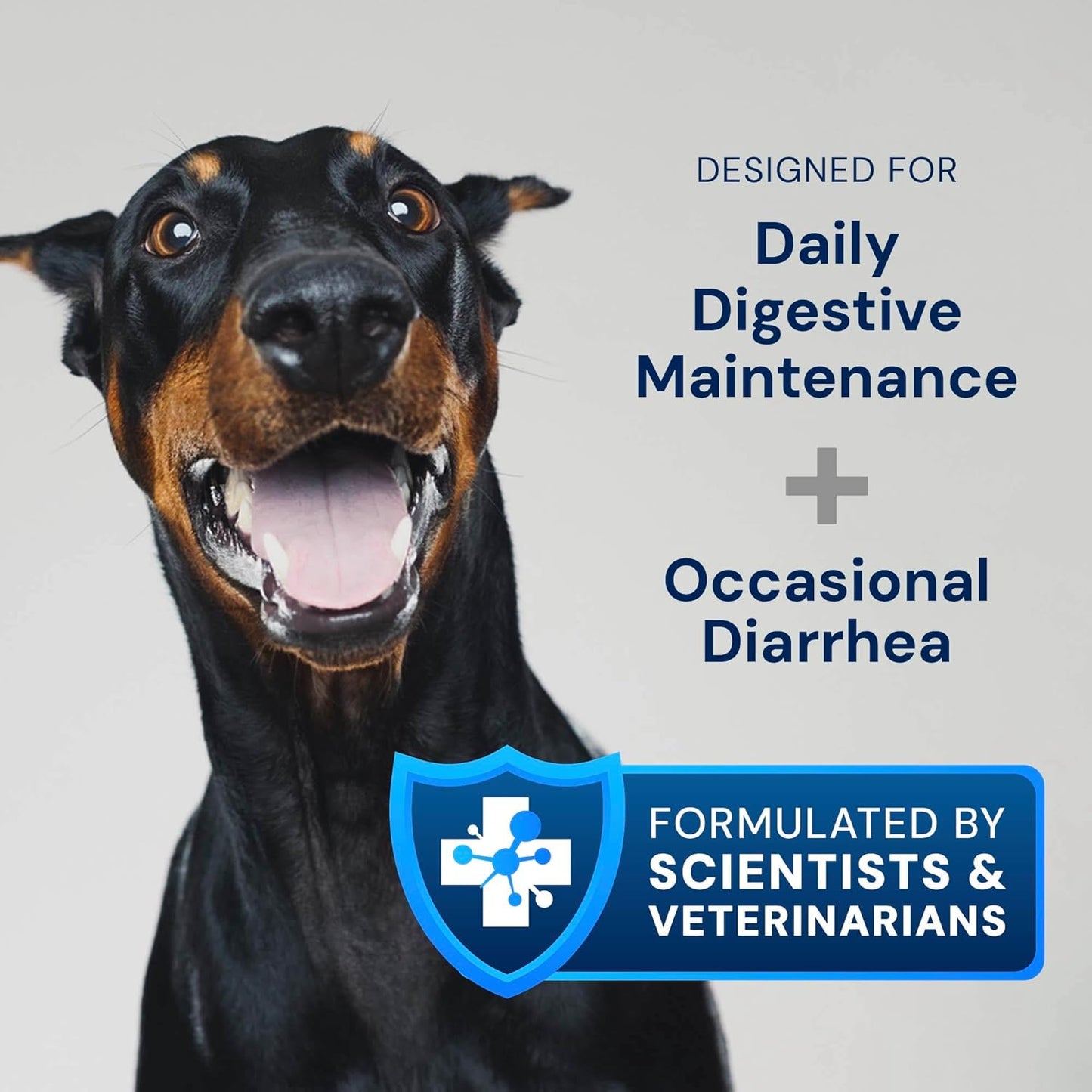 AnimalBiome Dog Probiotics - GMP Prebiotics and Probiotics - Reduce Diarrhea Flareups - for Dogs Under 20 lbs (60 Capsules) - DoggyBiome