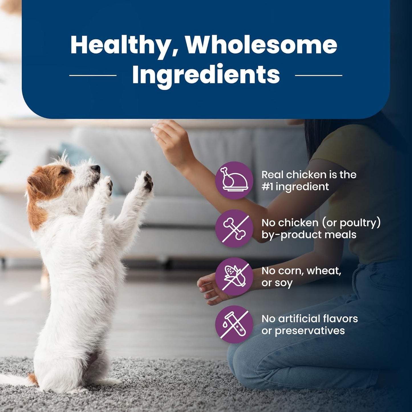 Blue Buffalo Life Protection Formula Small Breed Senior Dry Dog Food, Supports Joint Health and Immunity, Made with Natural Ingredients, Chicken & Brown Rice Recipe, 5-lb Bag