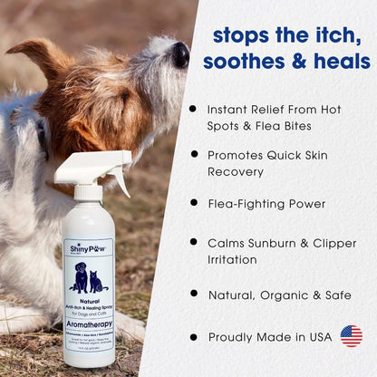 Dog Itch Relief Spray by Shiny Paw 16 oz | Aloe Vera & Eucalyptus Skin Itch Remedy | Dog Hot Spot Spray | Natural Anti Itch Spray for Pets | Dog Itchy Skin Relief | Made in USA