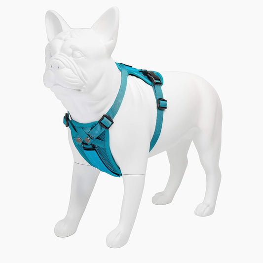 Voyager Freestyle 4-in-1 Dog Harness - Patent Pending Adjustable Webbing Harness with Removable Padding for Small to Large Dogs by Best Pet Supplies - Turquoise, XS