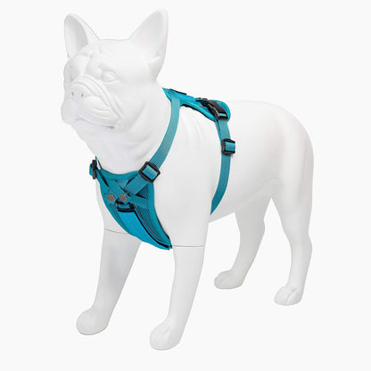 Voyager Freestyle 4-in-1 Dog Harness - Patent Pending Adjustable Webbing Harness with Removable Padding for Small to Large Dogs by Best Pet Supplies - Turquoise, XS