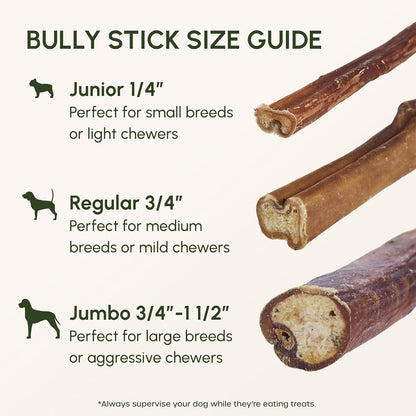 Downtown Pet Supply Bully Sticks for Dogs - Natural 6 Inch Beef Chews, Odor-Free & Rawhide-Free, Long Lasting Dog Treats for Aggressive Chewers - Healthy, Safe & Delicious Chews Dogs Love (48 Pack)