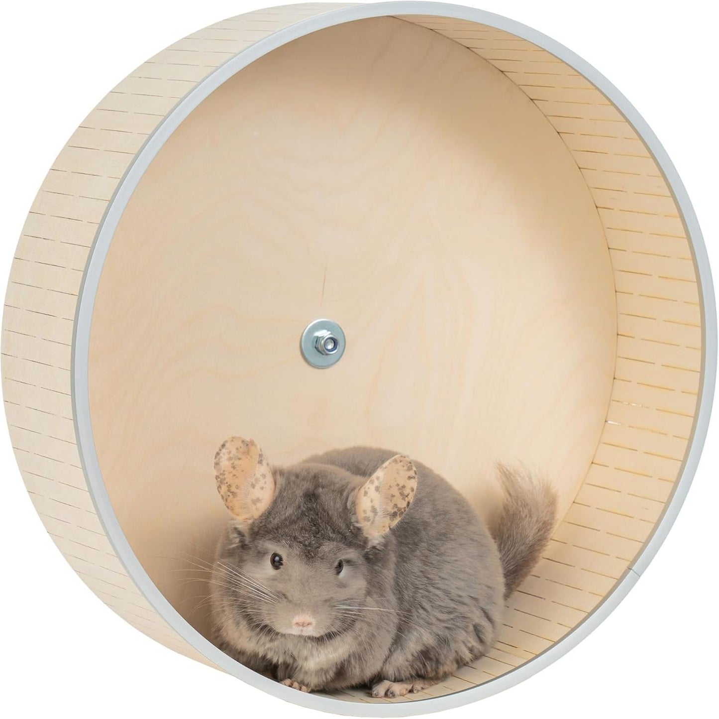 16" Silent Chinchilla Exercise Wheel