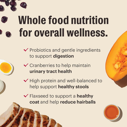 The Honest Kitchen Human Grade Whole Food Clusters Grain Free Turkey & Chicken Dry Cat Food, 1 lb Trial Pouch