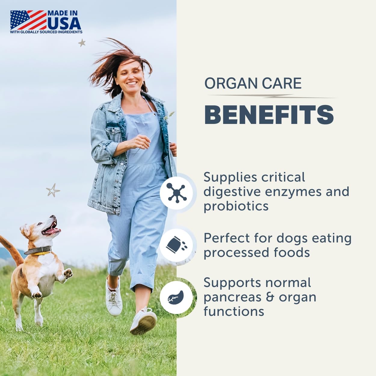 Four Leaf Rover Organ Care - Dog Digestive Support with Digestive Enzymes and Probiotics - Supports a Healthy Liver - Veterinarian Formulated - 30 Day Medium Dog Supply