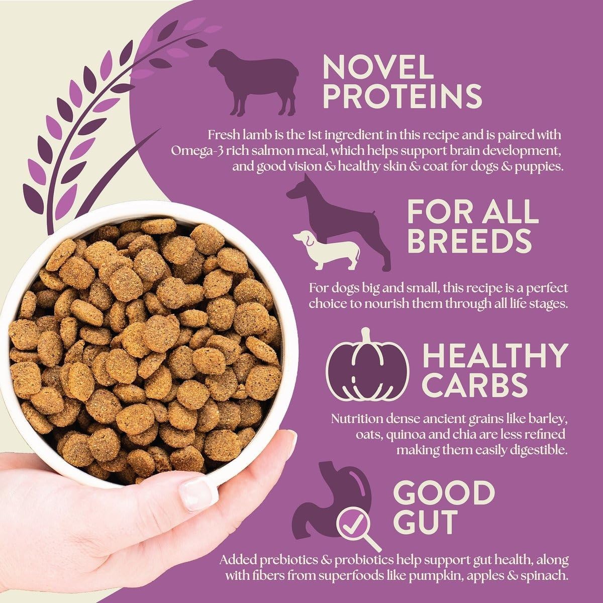 Earthborn Holistic Unrefined Roasted Lamb Recipe with Ancient Grains & Superfoods Dry Dog Food (4 Pounds)