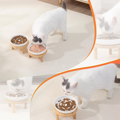 Raised Slow Feeder Cat Bowl, 5.9 Inch Wide Shallow Ceramic Elevated Glass Food Bowl Puzzle Feeders, Anti Vomit Cat Dish, Whisker Friendly Pet Plates Feeding Station for Cats(2 Slow Feeder)