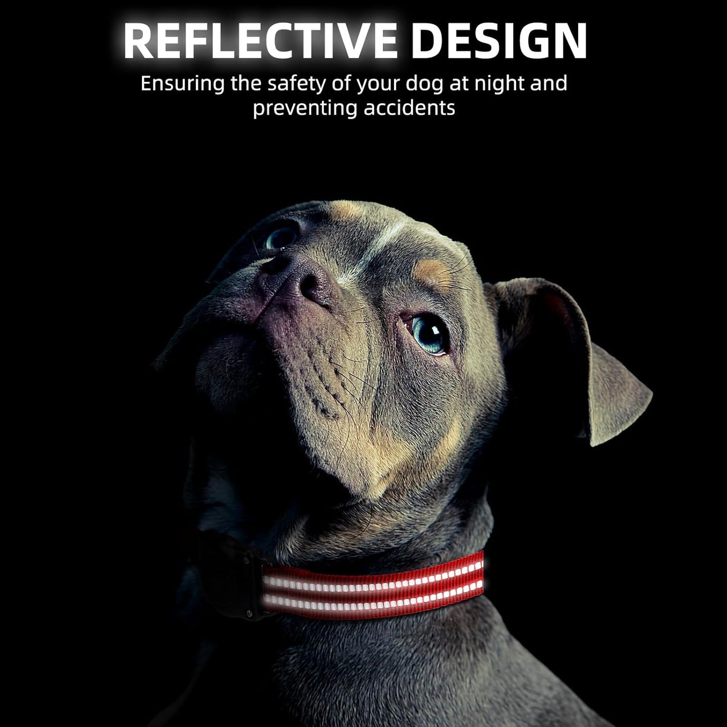 Airtag Dog Collar, 100% Waterproof Integrated Apple Air Tag Dog Collars, Reflective GPS Dog Collar with Hard PC AirTag Holder Case for Small Medium Large Dog (Red)