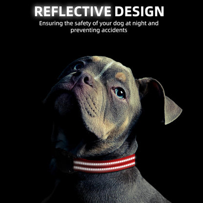 Airtag Dog Collar, 100% Waterproof Integrated Apple Air Tag Dog Collars, Reflective GPS Dog Collar with Hard PC AirTag Holder Case for Small Medium Large Dog (Red)