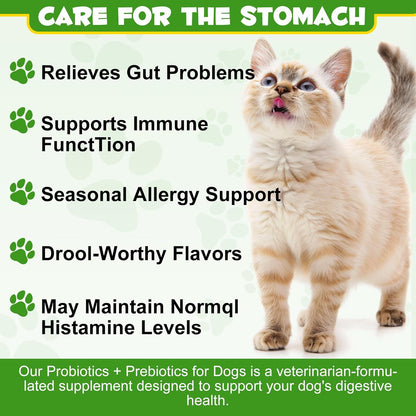 Cat Probiotic Powder with Prebiotics - 5 Billion CFU & 12 Strains to Treat Diarrhea, Vomiting, Digestive Support & Immunity Health