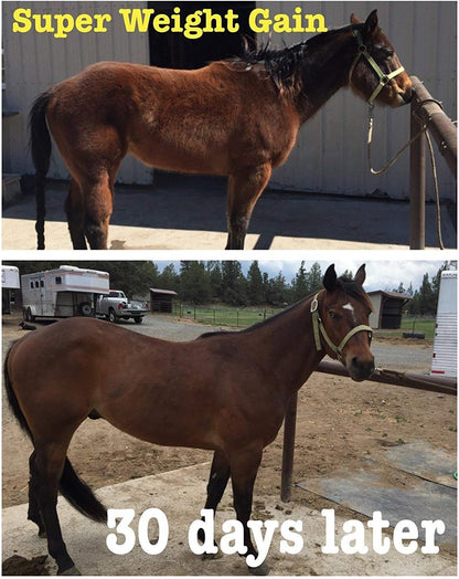 Super Weight Gain 10 lb, Equine Vitamin Mineral, Probiotic & Weight Gain Supplement